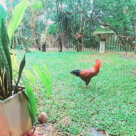 Bamboo Home Stay Hiriketiya Dikwella Luaran gambar