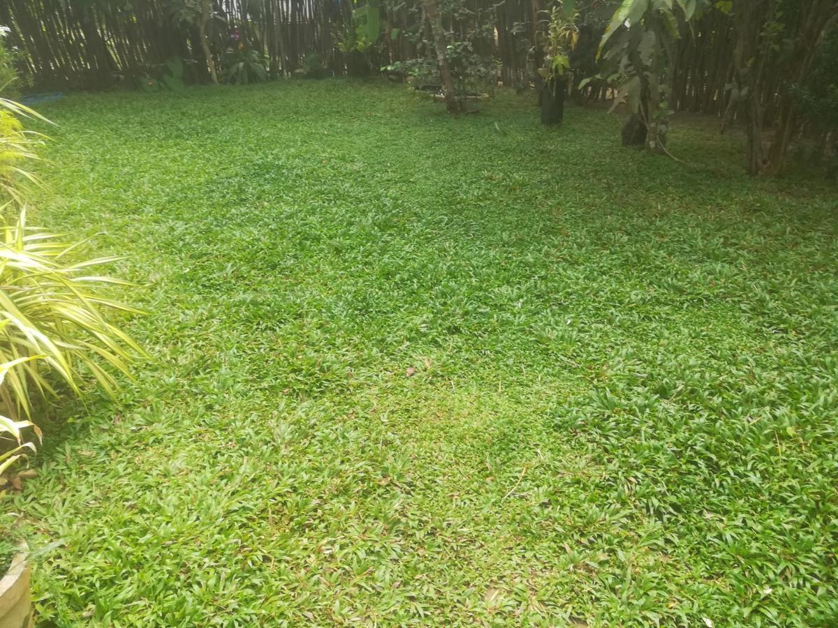 Bamboo Home Stay Hiriketiya Dikwella Luaran gambar