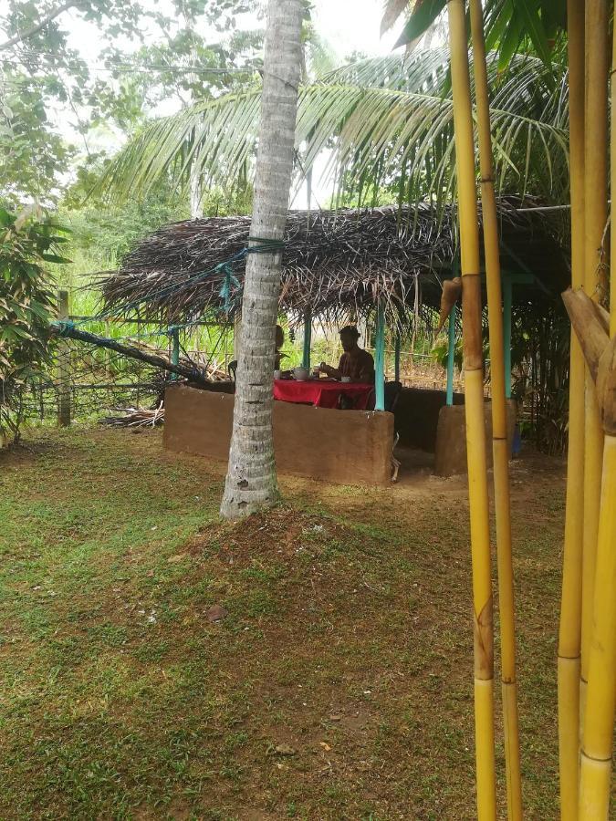 Bamboo Home Stay Hiriketiya Dikwella Luaran gambar
