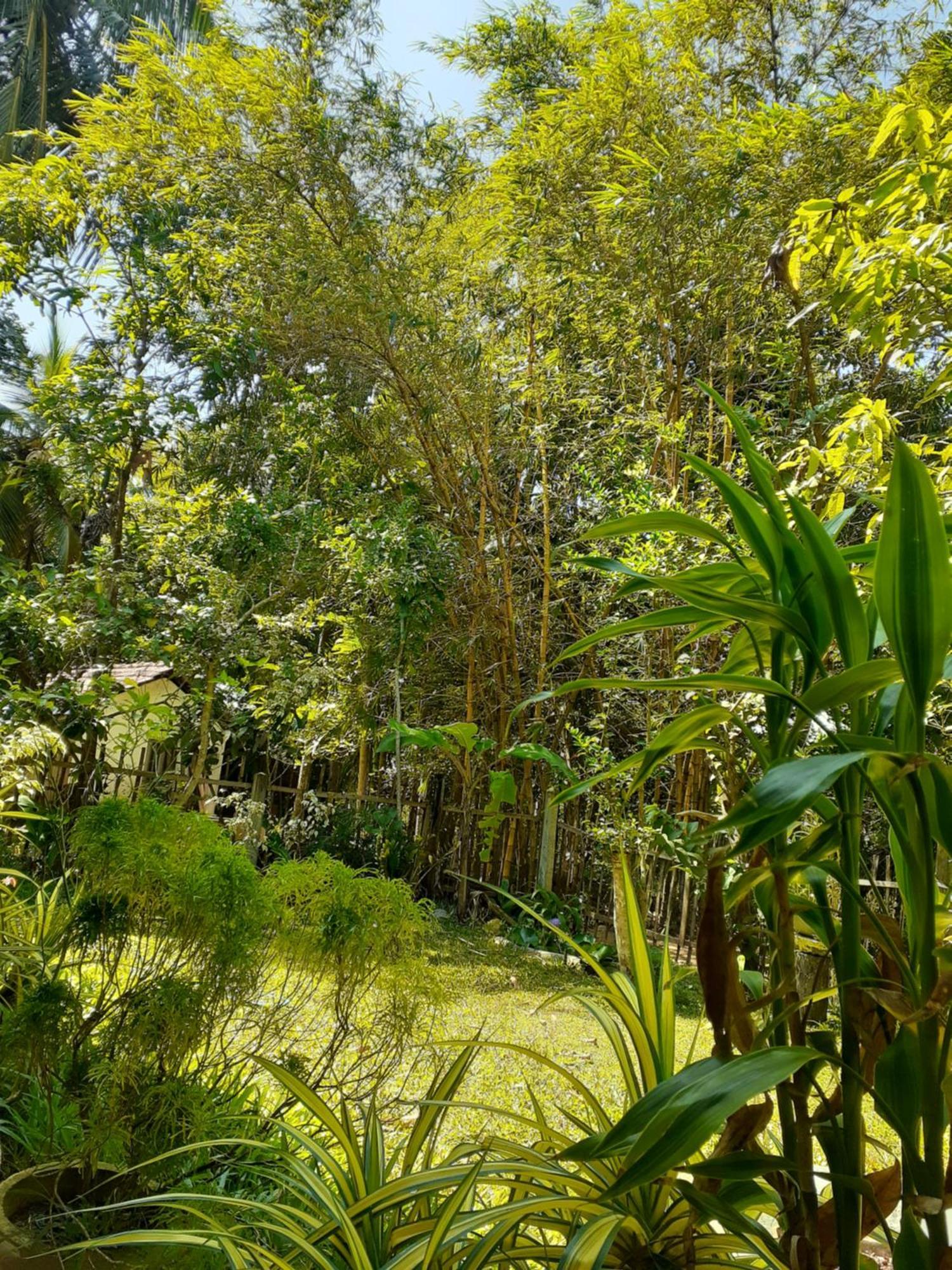 Bamboo Home Stay Hiriketiya Dikwella Luaran gambar